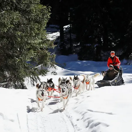 Skis Aux Pieds Le Revard
