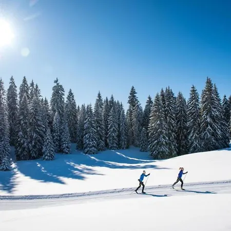 Skis Aux Pieds Le Revard * Montcel (Savoie)